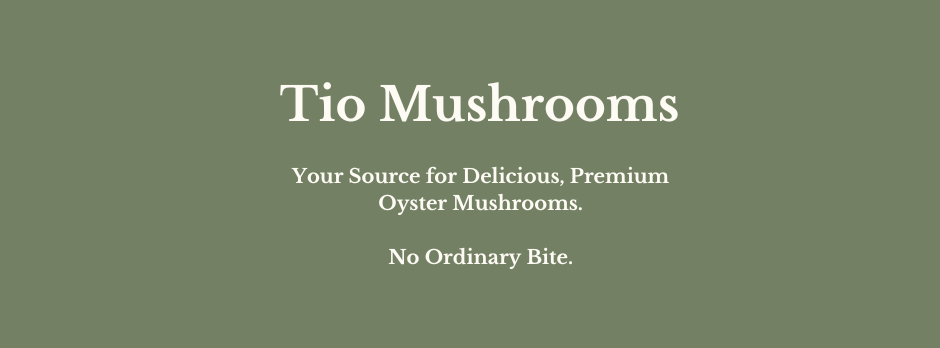Customer Spotlight: Tio Mushrooms, Hamilton and Cambridge