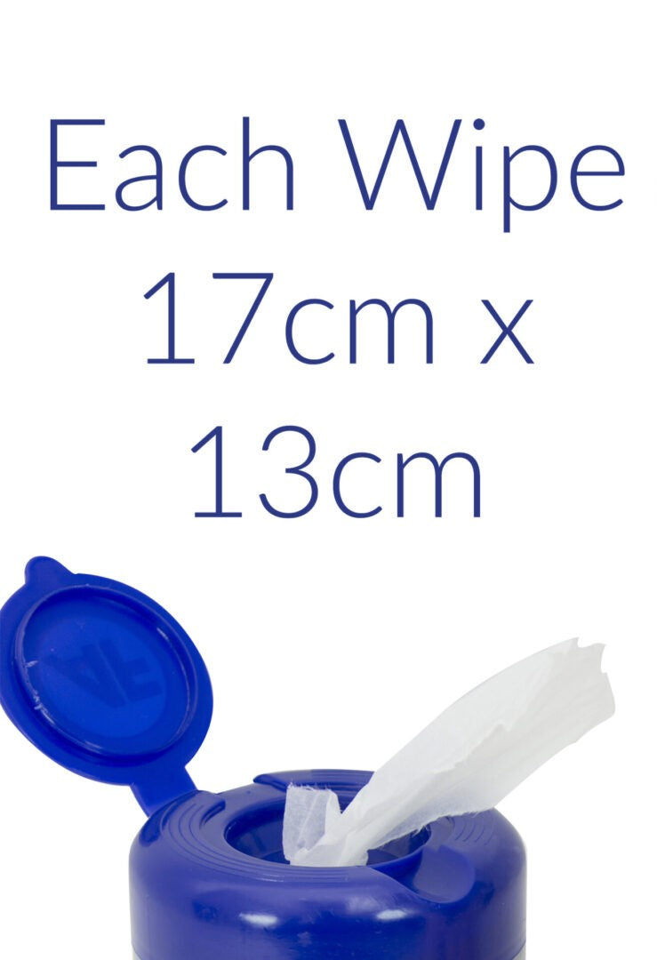 AF Isoclene Anti-Bacterial Wipes