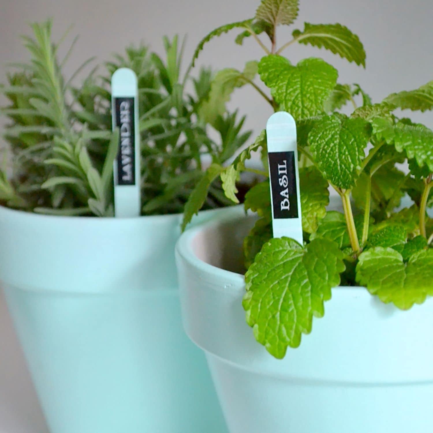 Brother P-Touch PTD210