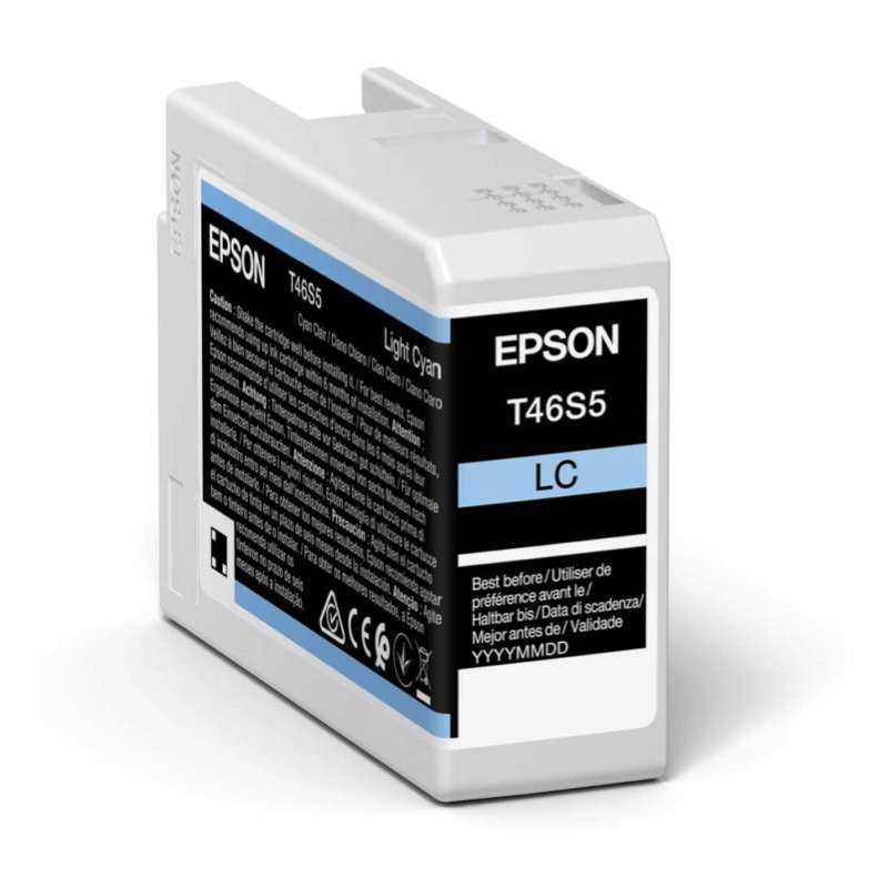 Epson T46S Light Cyan Ink
